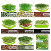 Hydroponic Seed Plant Cultivation Tray | Hydroponic Soilless Planting System, with Drainage Holes, Durable Plastic Garden-Style Planting Pot, Indoor/Outdoor Use, Space-Saving Design