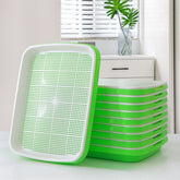 Shopzone automatic wheatgrass growing tray with self-watering hydroponic planter for home sprout cultivation, showing lush green wheatgrass.