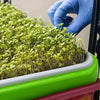 Hydroponic Seed Plant Cultivation Tray | Hydroponic Soilless Planting System, with Drainage Holes, Durable Plastic Garden-Style Planting Pot, Indoor/Outdoor Use, Space-Saving Design