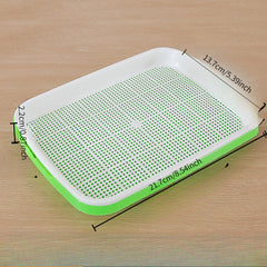 Shopzone automatic wheatgrass growing tray with self-watering hydroponic system for home sprouting and indoor gardening.