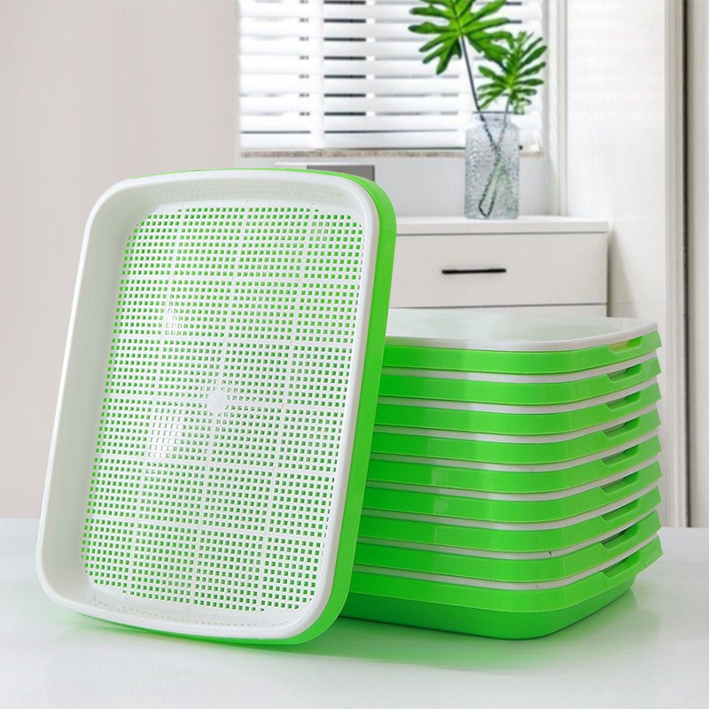 Shopzone automatic wheatgrass growing tray with self-watering hydroponic planter for home sprout cultivation, showing lush green wheatgrass.