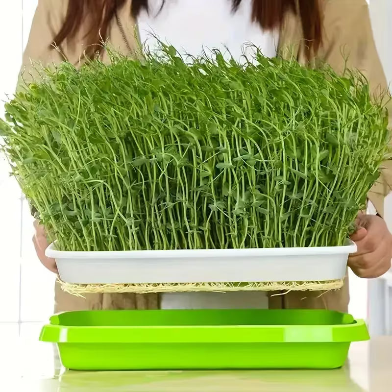 Hydroponic Seed Plant Cultivation Tray | Hydroponic Soilless Planting System, with Drainage Holes, Durable Plastic Garden-Style Planting Pot, Indoor/Outdoor Use, Space-Saving Design